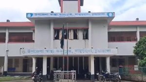 দামুড়হুদা ও সদর উপজেলায় বিদ্যুৎস্পৃষ্টে স্বামী-স্ত্রীসহ ৪ জনের মৃত্যু