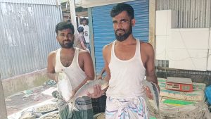 ভরা মৌসুমেও নদীতে ইলিশের টান, বাজারে চড়া দাম