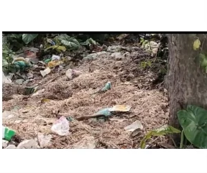 বারাদিতে যত্রতত্র বর্জ্য, দুর্গন্ধে অতিষ্ঠ শিক্ষার্থী ও পথচারীরা